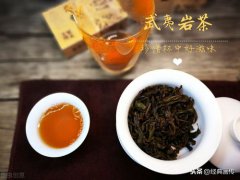 乌龙茶的功效与作用(乌龙茶：用途和风险！)