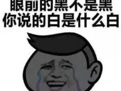 哪个牌子的防晒霜好(公认防晒效果超好的4个防晒霜)