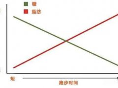 晚上跑步可以减肥吗(晚上跑步真的会瘦吗？)