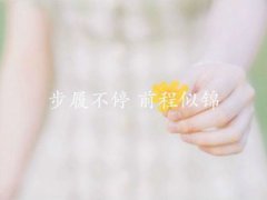 高考加油短信(预祝高考成功祝福语)