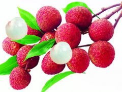 荔枝上火吗(吃荔枝为什么容易“上火”？)