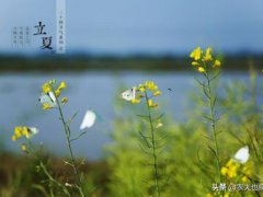 立夏为什么要吃蛋(今日立夏，为何立夏节气要吃鸡蛋)