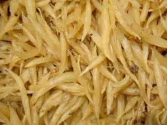 天冬的作用与功效！(天冬的禁忌及食用方法！)