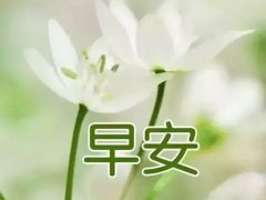 祝福话语(简单的问候)