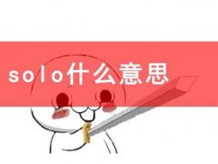 solo什么意思(了解一下什么是solo)