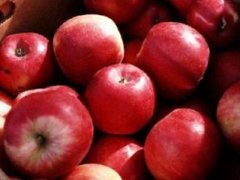 苹果的营养成分(苹果的营养成分和药用价值！)