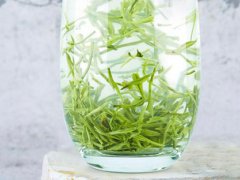 春天喝什么茶(春季饮茶选哪种？)