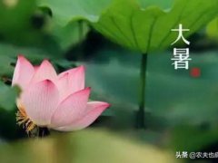 小暑和大暑是什么意思(到底小暑热还是大暑热？)