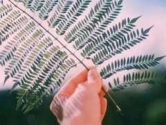花心男人的表现(一个花心男人会具备的4个特征)