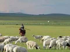 内蒙古旅游注意事项(来内蒙旅游需要注意些什么？)