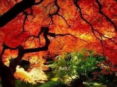 关于秋天的诗词名句(描写秋天的30首古诗词)