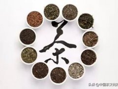 茶文化资料(茶叶基本知识大全)