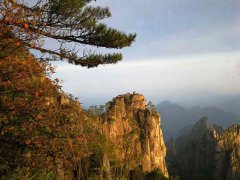 黄山风景介绍(黄山风景区)