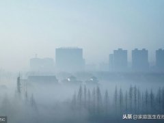 霾和雾的区别(雾与霾有什么区别？)
