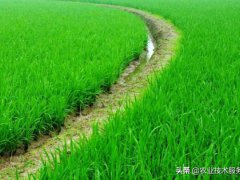 农业标准化(农业标准化基础知识)