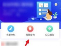 怎么查个人所得税(查询纳税明细记录方法)