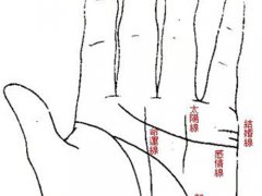 掌纹与健康(看掌纹变化知五脏健康)