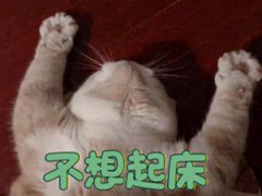 国医大师巧祛湿(国医大师邓铁涛独门祛湿法)