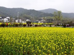 东钱湖十里四香(宁波东钱湖的十里四香)