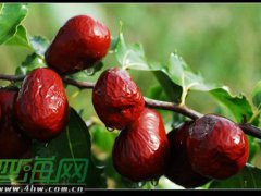 左上腹疼痛(左侧上腹部隐痛的原因)