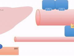 低密度脂蛋白胆固醇偏高的原因(低密度脂蛋白胆固醇升高是什么原因?)