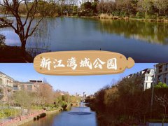 新江湾城湿地公园(上海杨浦新江湾城公园)