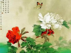 花鸟画技法(国画中花鸟画的技法)