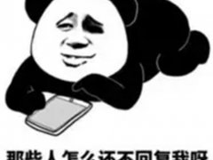 持续性性兴奋综合症(过目不忘症和持续性兴奋综合症)