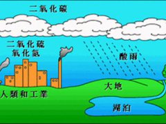 酸雨的危害(酸雨形成的原因和危害有哪些)