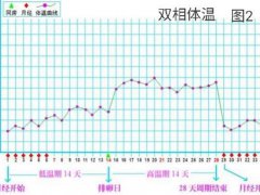女性基础体温？(女性基础体温测定及其意义！)