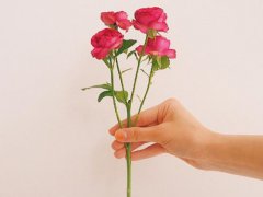 心情好的句子(好心态好心情的句子)