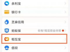 相互宝保险怎么退出(支付宝怎样关闭相互保)