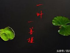 看破红尘的意思(佛教中常说的看破红尘是什么意思？)