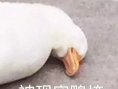 如何补妆(会补妆才是真正的会化妆)