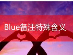 备注blue什么意思(blue特殊含义情侣)