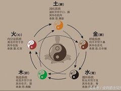 五官指的是什么地方(五官都是管什么的？)