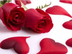 玫瑰代表什么意思(你知道玫瑰的花语吗？)