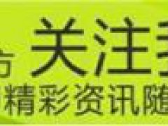 3d打印玩具(男子利用3D打印机自制玩具gun)