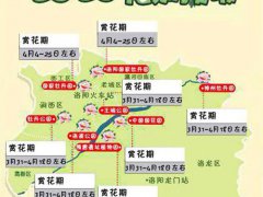 洛阳牡丹什么时候开呢(今年洛阳牡丹啥时候开？)