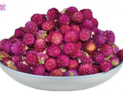 千日红花茶(女性调养千日红茶绝对是口味绝佳花茶)