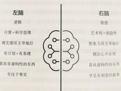 左脑型思维者(你是左脑思维还是右脑思维的人呢？)