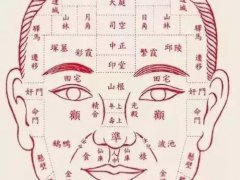 面部全息图(相貌，是生命的全息地图)