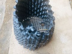 火龙果种植方法(家庭盆栽火龙果种植方法)